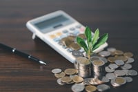Employers are investing in workplace financial wellness, but not how employees want it
