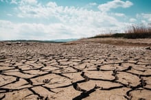 Slow-onset climate perils are outpacing the insurance market: Moody's