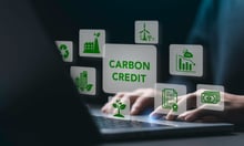 Report explores emerging carbon credit insurance market
