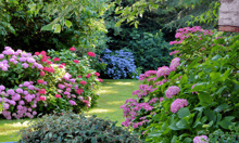 Aviva on how a garden can protect your property from extreme weather