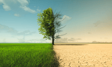 EU urged to increase coverage to help farmers facing climate risks
