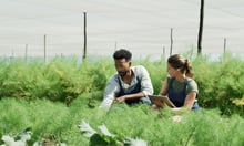 Farm assurance reforms leave major farmer concerns unresolved - report
