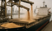 ITIC flags documentation risks after grain cargo negligence claim