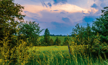 Greenbelt Fallout: Insurers Now Weigh Reputational Risk in Ontario Land Development Deals