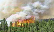 US lawmakers seek clarification on Canada’s wildfire response