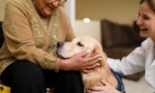 Beneva marks Action Anxiety Day with hospital therapy dog program