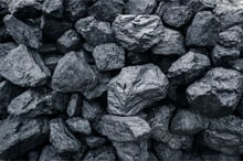 Sompo rules out coal with "pioneering" policy