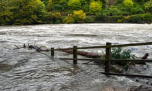 Wellington floods leave about 40 properties uninhabitable