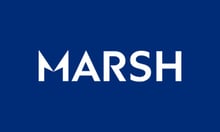 Former JLT chief steps in as Marsh NZ names interim leader