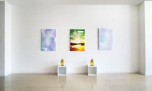 Markel Insurance launches fine art & specie business in Australia