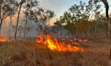 IAG backs cultural land management in three‑year AbCF deal