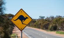 Victorian wildlife write-offs signal a mispriced risk in suburban motor books