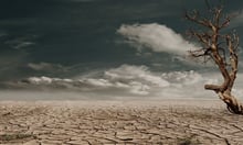 Swiss Re warns extreme heat is reshaping Switzerland's catastrophe risk