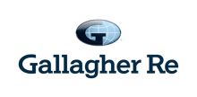 Gallagher Re names India CEO as global brokers race for position