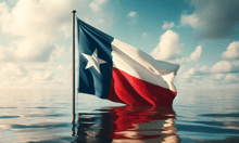 Texans dump flood insurance just when they start to need it