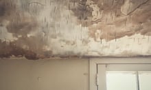 Insurer must defend contractor in mold dispute, court says