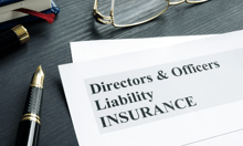 Insurers reassess D&O coverage as risk factors rise