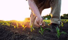 Largest crop insurance companies in the US by market share