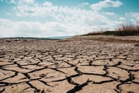 Slow-onset climate perils are outpacing the insurance market: Moody's