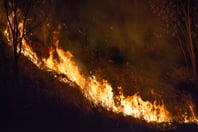 Wildfire liability gaps put utility insurers at credit risk, DBRS warns