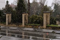 Hail drives E&S homeowners surge into inland states