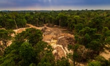 Brazil awarded Amazon loggers, labour violators with farm aid