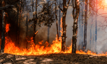 Insurance issues show limits of wildfire preparations