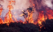 Summer wildfire that hit Jasper, Alta., tops Environment Canada 2024 weather list