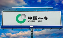 China Life says profit is surging