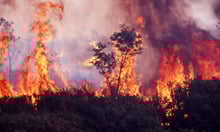 UK wildfire risks: Key insights every broker should know