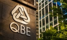 QBE, claims supply chain launch UK insurance sector's first collective rewilding scheme