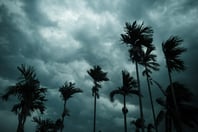 TWIA committee's PML recommendation hits new high for 2024 storm season