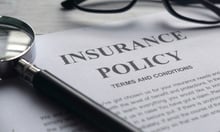Alberta premier doubts more insurers will leave the province