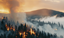 European reinsurers brace for California wildfire claims