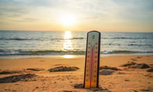 B.C. heat records expose insurance industry's pricing blind spot