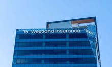 Westland taps Alberta commercial veteran for VP role