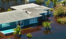 ICNZ chief issues "buyer beware" warning for flood damaged homes