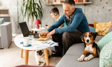 Energy firm unveils partnership to provide pet insurance for customers
