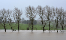 Councils, insurers fill climate policy gap as law delayed
