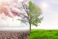 FM Global to offer first-of-its-kind climate resilience credit