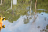 Deloitte releases review of insurers' response to 2022 Australian floods