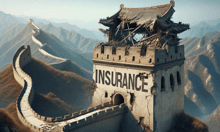 China's major insurance problem