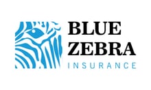 Blue Zebra charts new course after Youi bows out
