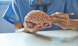 Brain Canada backs $4.7 million push to bring neurological research to more Canadians