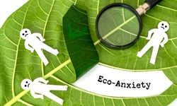 Why employers can't ignore eco-anxiety in the workplace
