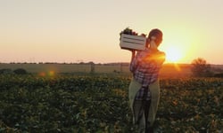 Pension fund commits A$300 million to Australian farmland