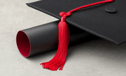Almost half of new grads starting work without guidance: Robert Half