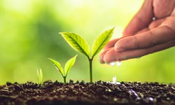 Pension fund manager marks 30 years with 17th straight fully funded result