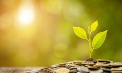 Mercer warns strong DB surpluses may turn risky