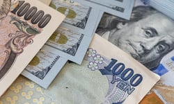 Foreign pension fund spends six months buying the currency everyone else is selling